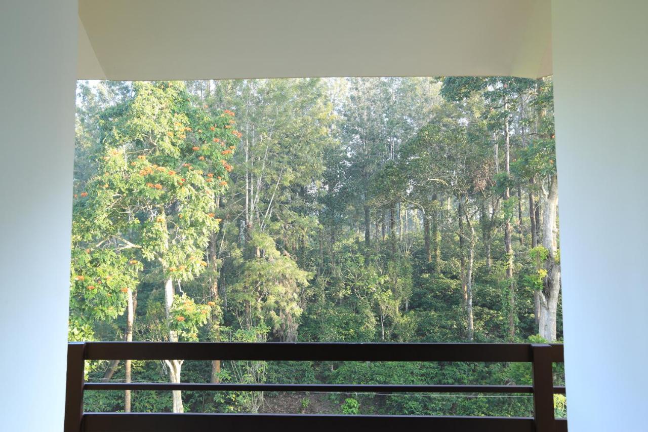 Aditi Thekkady Zewnętrze zdjęcie