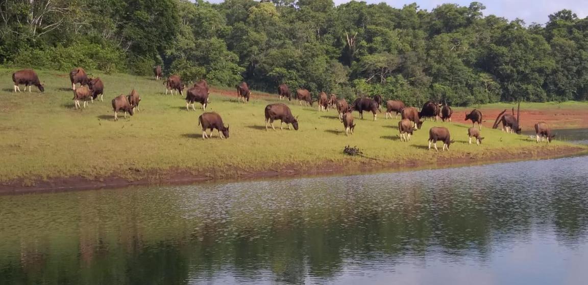 Aditi Thekkady Zewnętrze zdjęcie