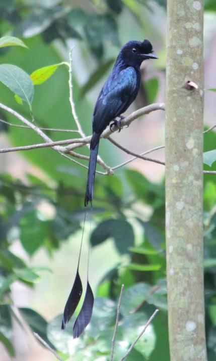 Aditi Thekkady Zewnętrze zdjęcie