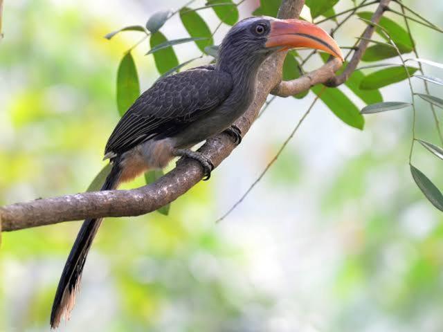 Aditi Thekkady Zewnętrze zdjęcie