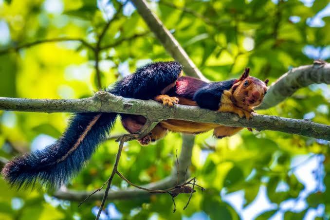 Aditi Thekkady Zewnętrze zdjęcie
