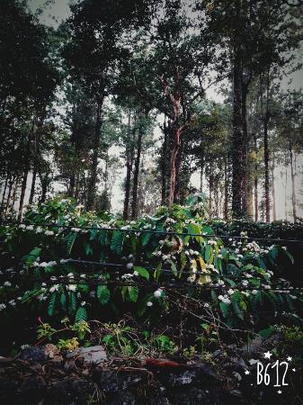 Aditi Thekkady Zewnętrze zdjęcie