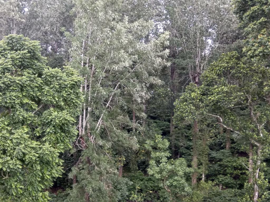 Aditi Thekkady Zewnętrze zdjęcie