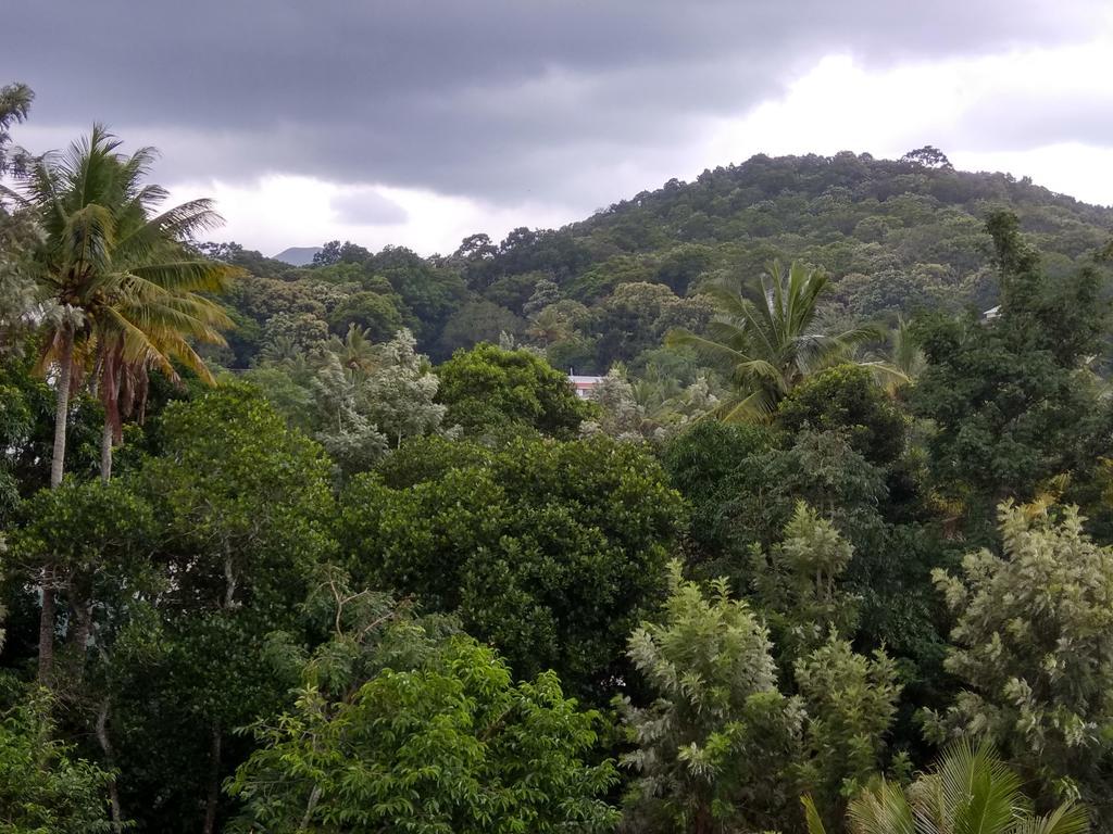 Aditi Thekkady Zewnętrze zdjęcie